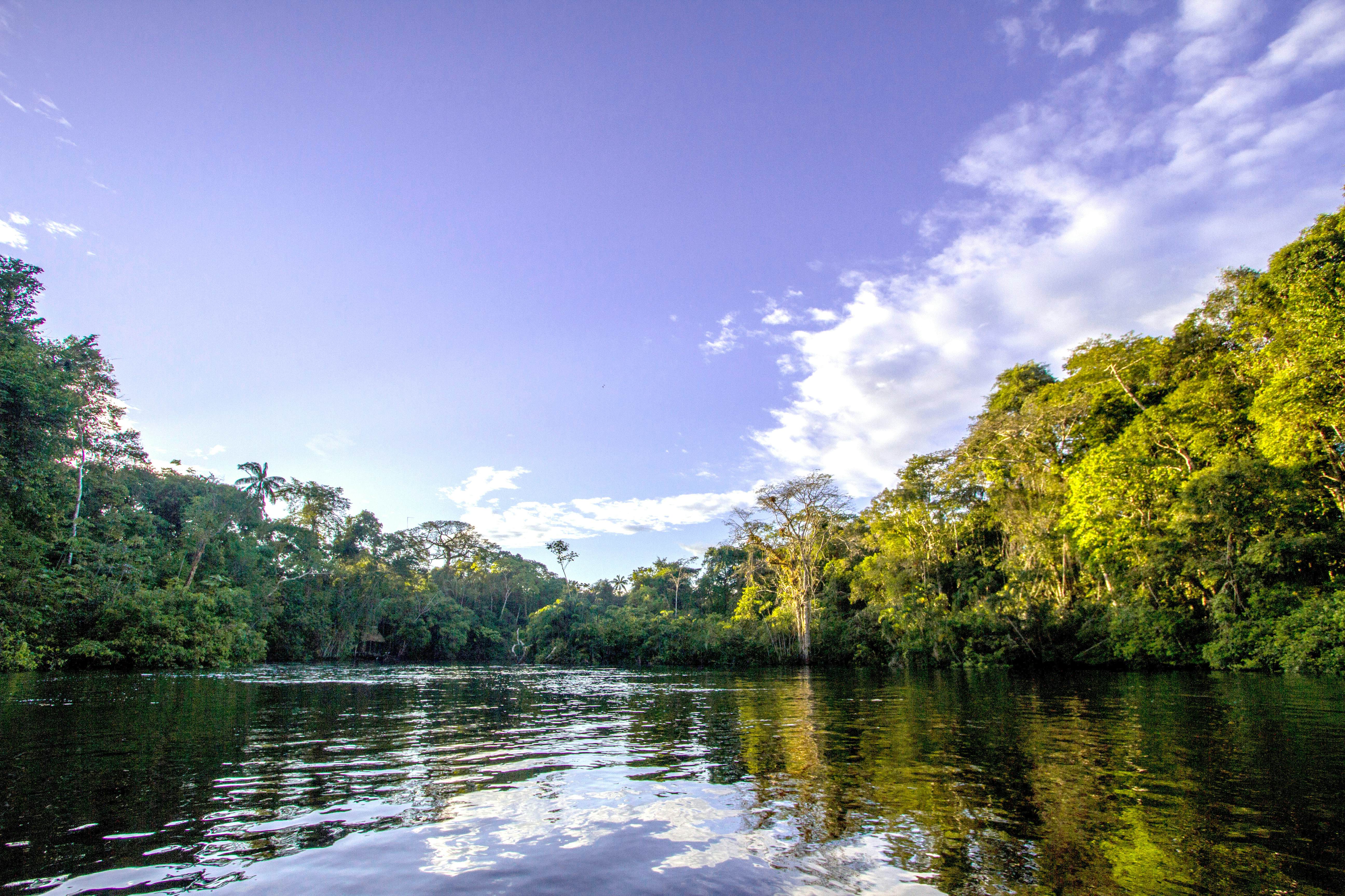 Lago Agrio Travel Lonely Planet Ecuador South America   IStock 1317618140 RFC 